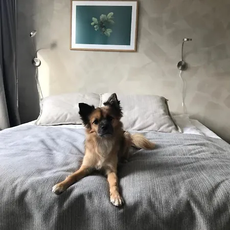 Noli Soernaeinen Hotell 4*